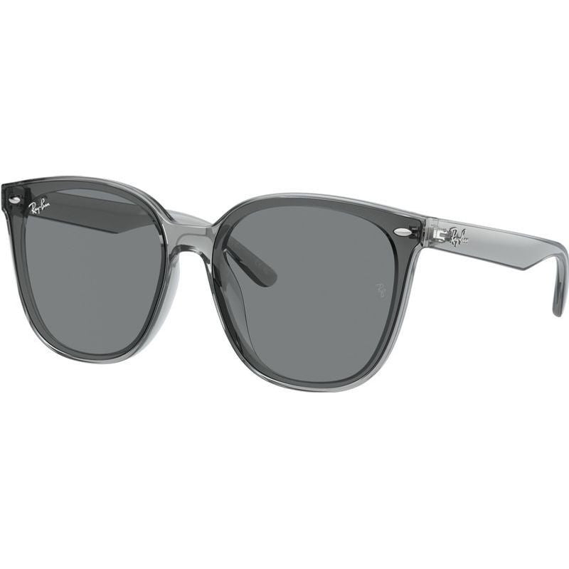 RB4423D, Transparent Grey/Grey Lenses