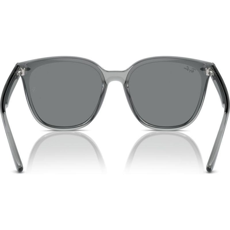 RB4423D, Transparent Grey/Grey Lenses