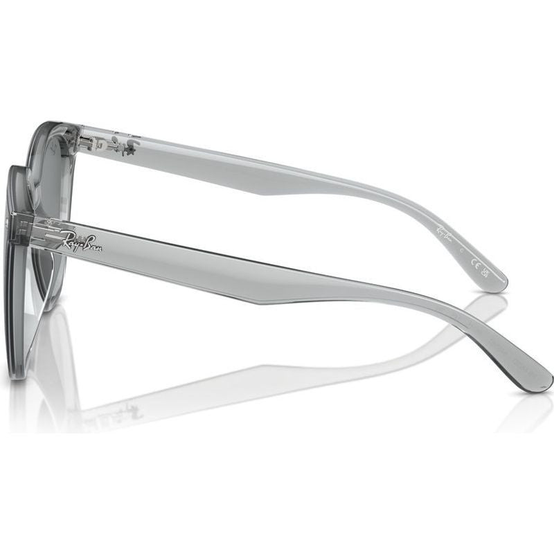 RB4423D, Transparent Grey/Grey Lenses