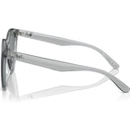 RB4423D, Transparent Grey/Grey Lenses
