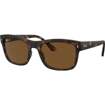 RB4428, Matte Havana/Brown Polarised Glass Lenses