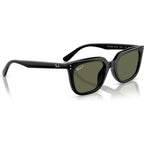 RB4439D, Black/Dark Green Polarised Lenses