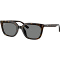 RB4439D, Havana/Dark Grey Lenses
