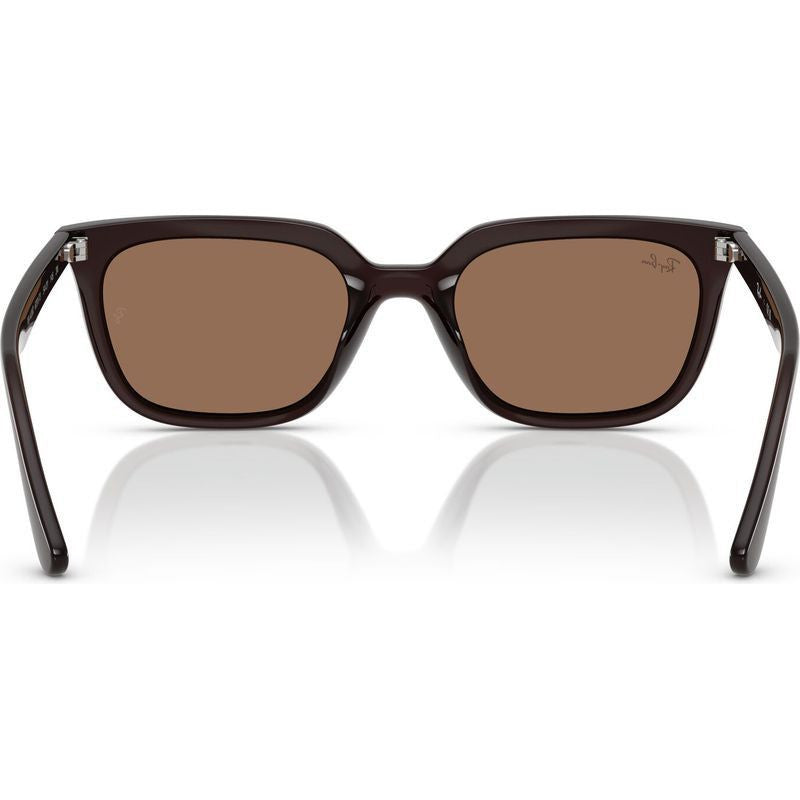 RB4439D, Opal Brown/Dark Brown Lenses