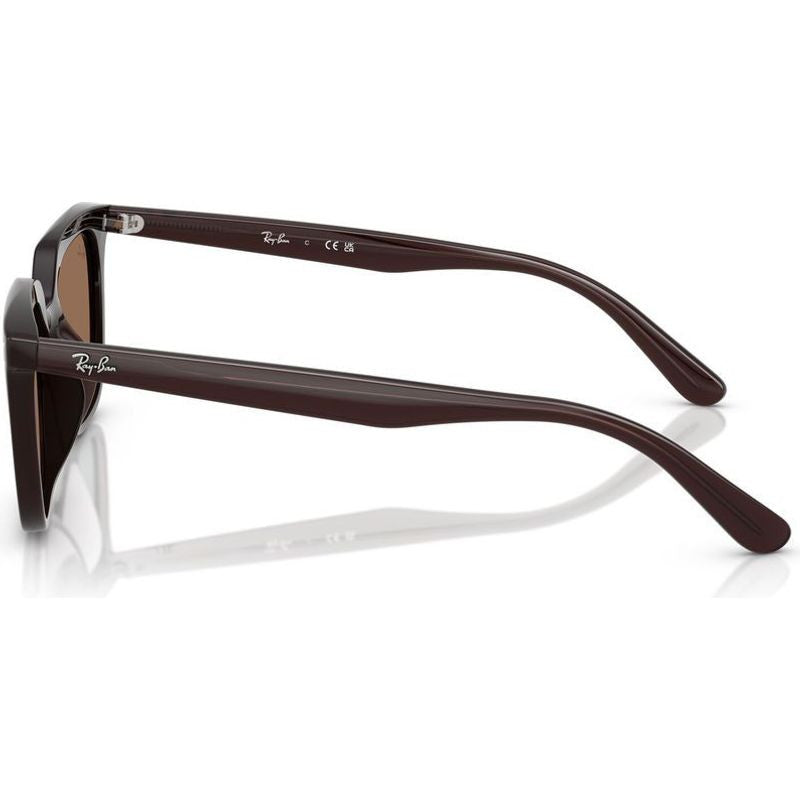 RB4439D, Opal Brown/Dark Brown Lenses