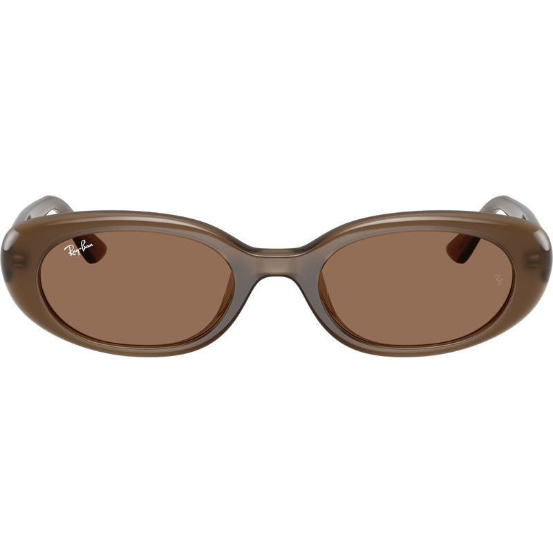 RB4441D, Opal Brown/Dark Brown Lenses