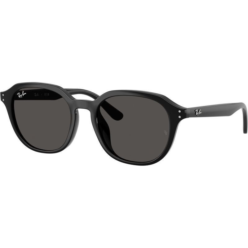 RB4459D, Black/Dark Grey Lenses