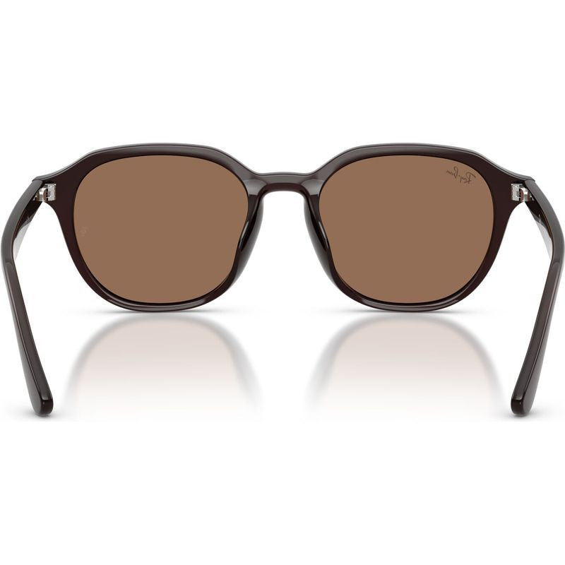 RB4459D, Opal Brown/Dark Brown Lenses