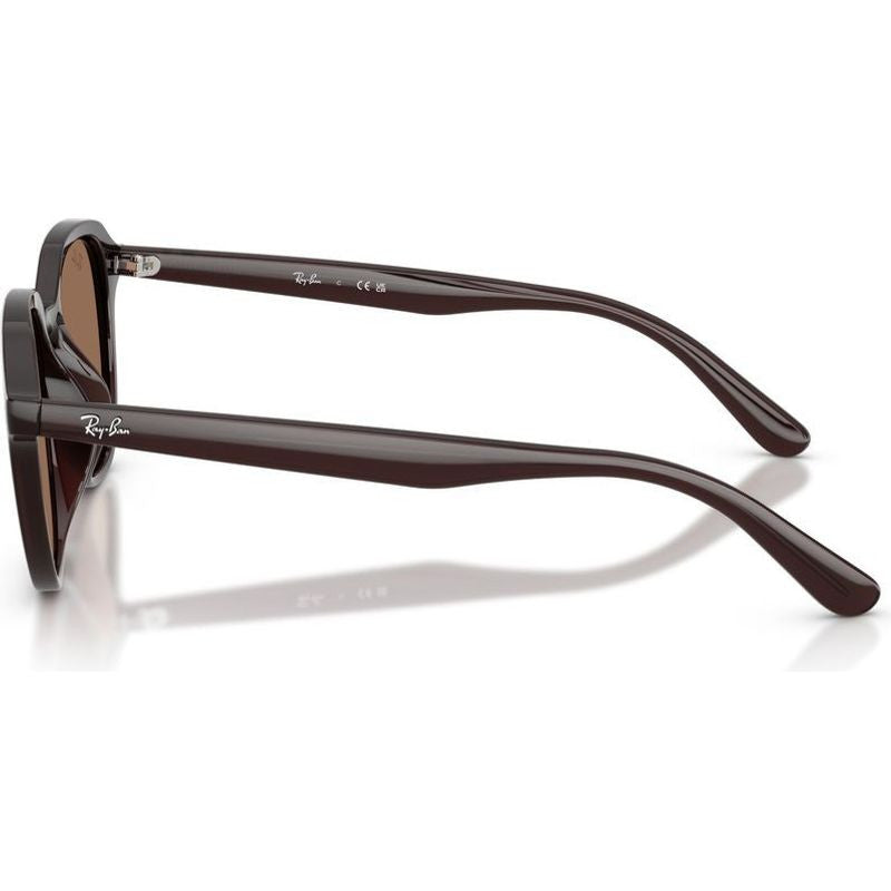 RB4459D, Opal Brown/Dark Brown Lenses