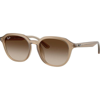 RB4459D, Turtledove/Brown Gradient Lenses