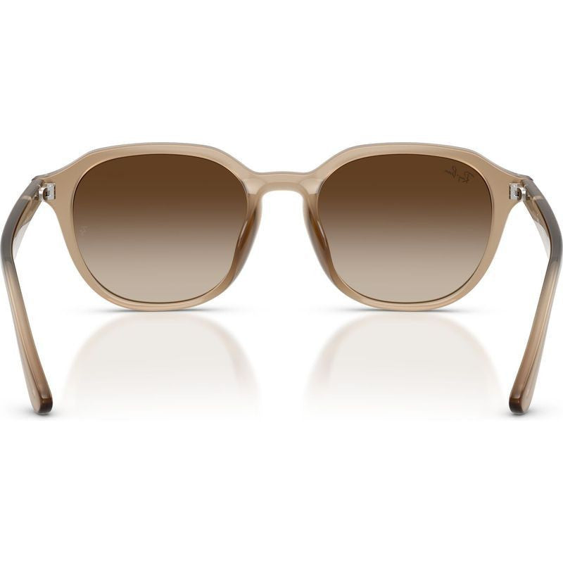 RB4459D, Turtledove/Brown Gradient Lenses
