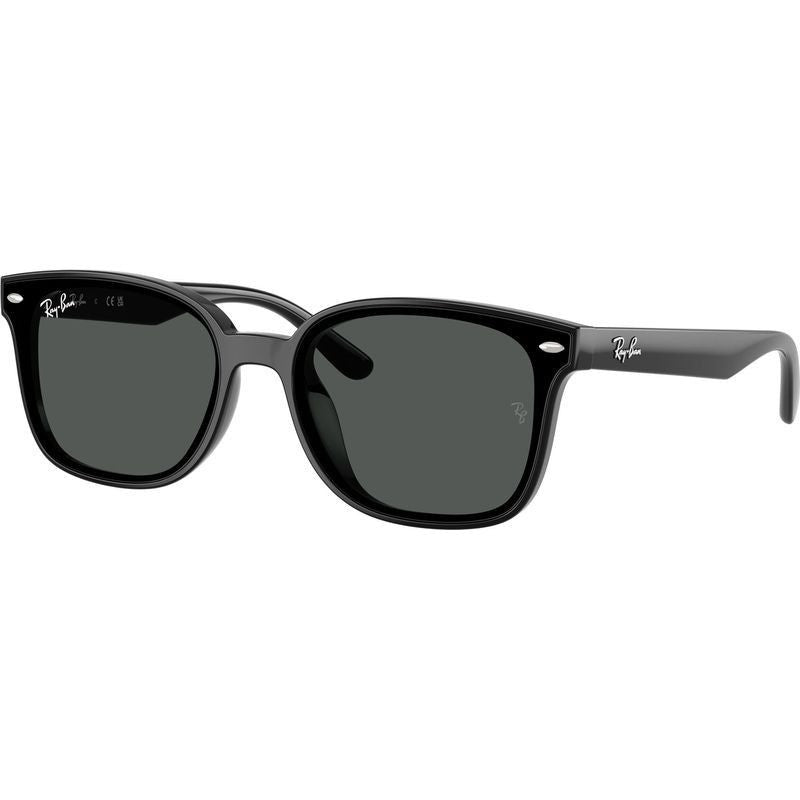 RB4461D, Black/Dark Grey Lenses