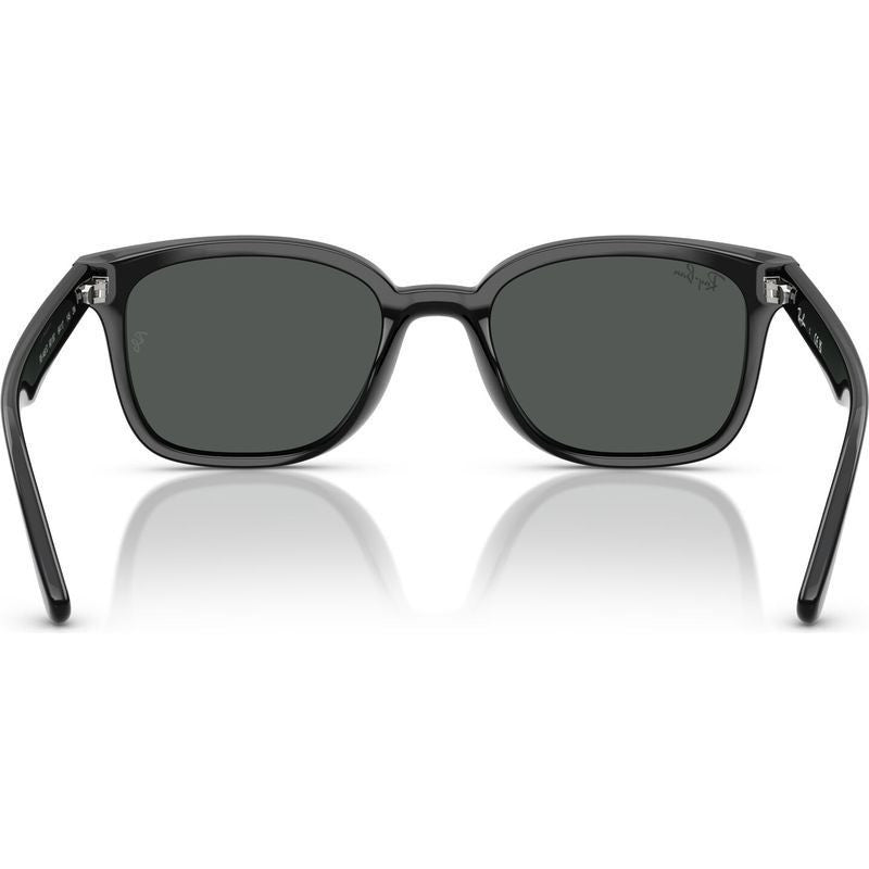 RB4461D, Black/Dark Grey Lenses
