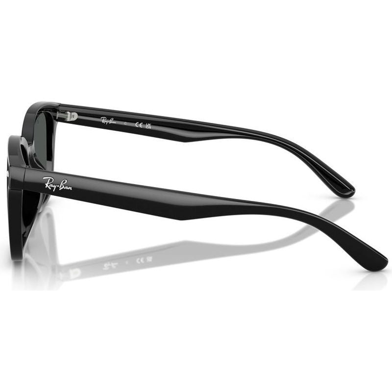 RB4461D, Black/Dark Grey Lenses