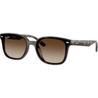 RB4461D, Havana/Brown Gradient Lenses