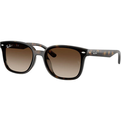 RB4461D, Havana/Brown Gradient Lenses