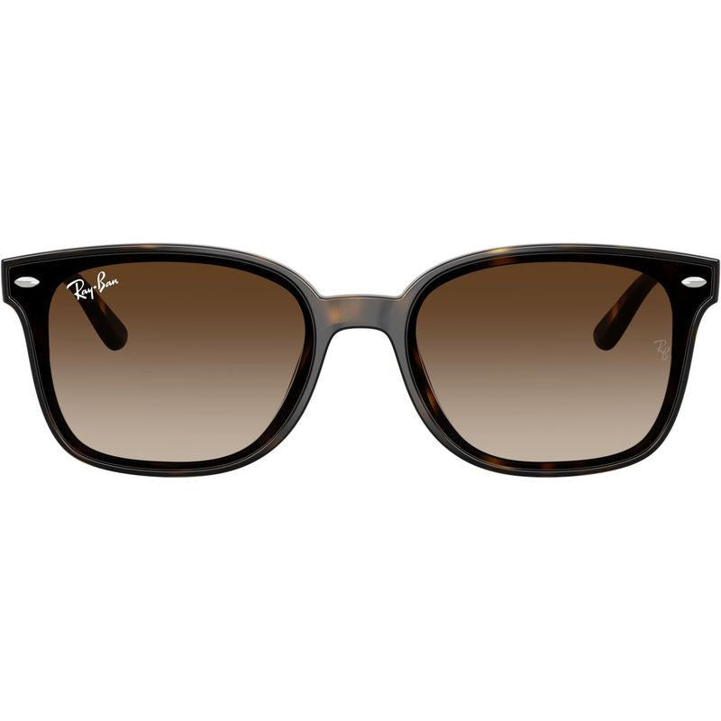 RB4461D, Havana/Brown Gradient Lenses