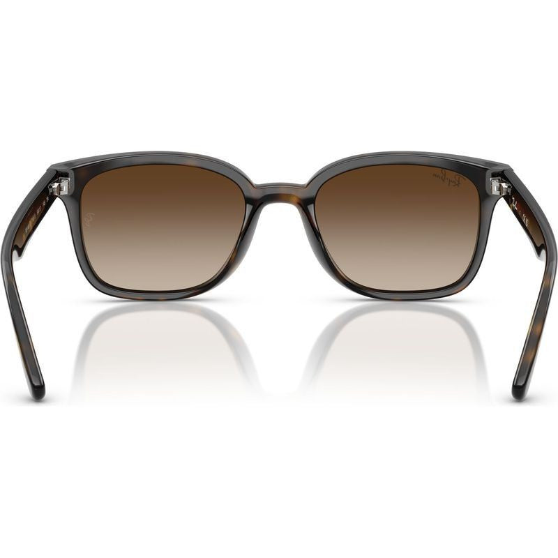 RB4461D, Havana/Brown Gradient Lenses