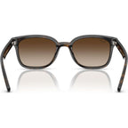RB4461D, Havana/Brown Gradient Lenses