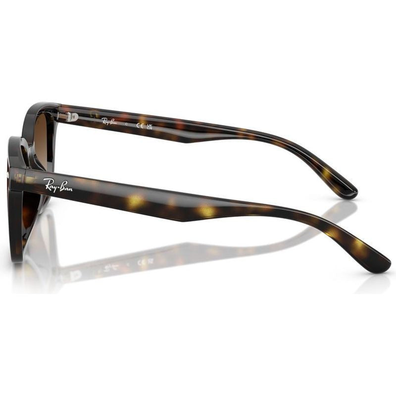 RB4461D, Havana/Brown Gradient Lenses