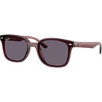 RB4461D, Transparent Dark Brown/Violet Lenses