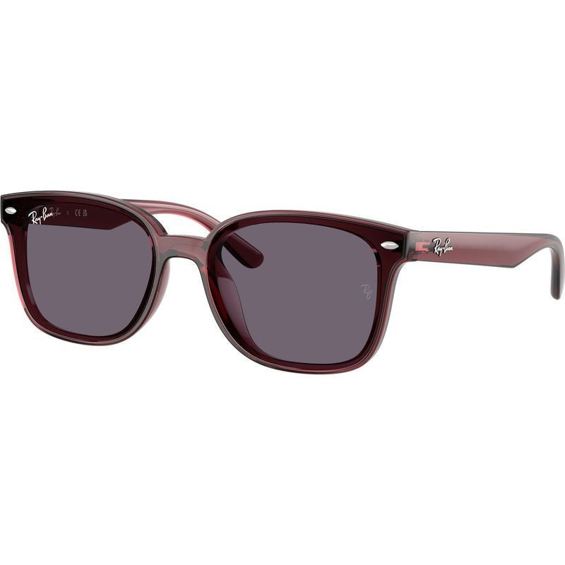 RB4461D, Transparent Dark Brown/Violet Lenses