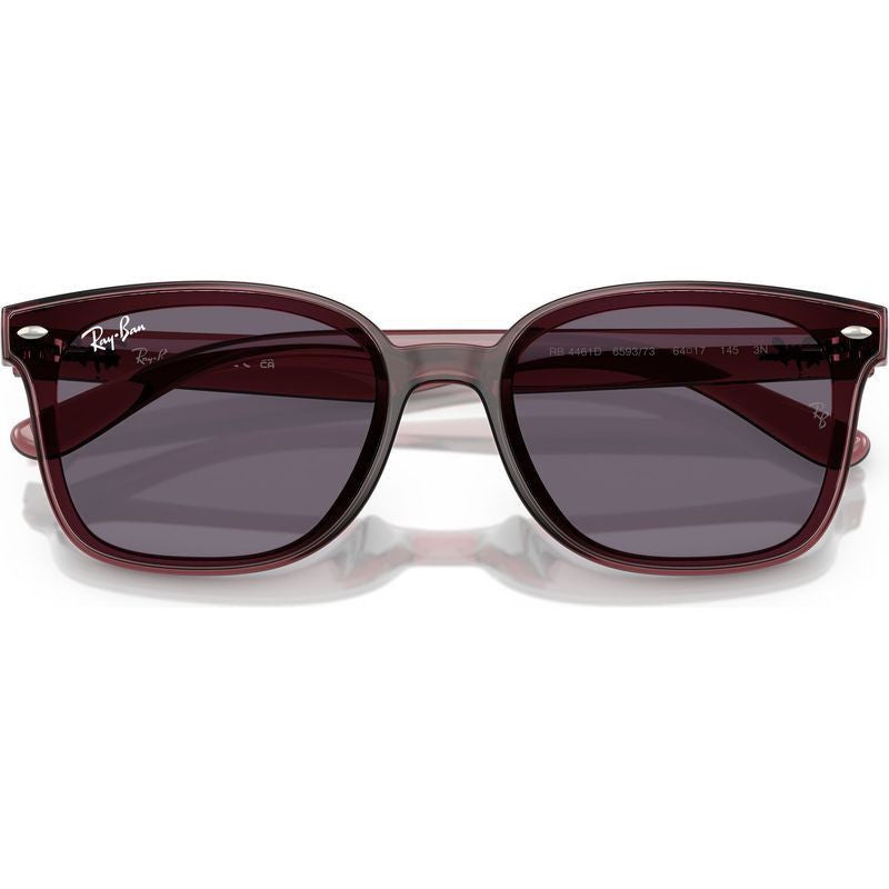 RB4461D, Transparent Dark Brown/Violet Lenses