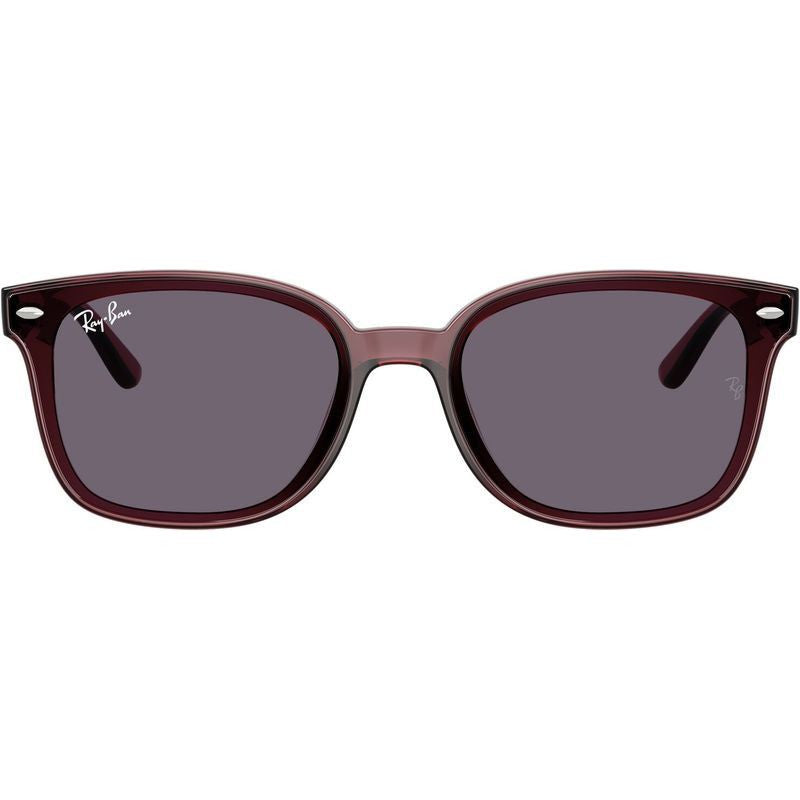 RB4461D, Transparent Dark Brown/Violet Lenses