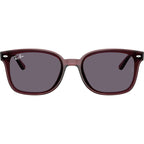 RB4461D, Transparent Dark Brown/Violet Lenses