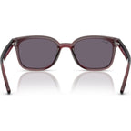 RB4461D, Transparent Dark Brown/Violet Lenses