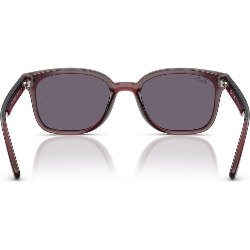 RB4461D, Transparent Dark Brown/Violet Lenses