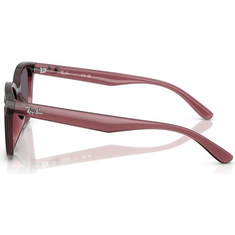 RB4461D, Transparent Dark Brown/Violet Lenses