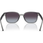 RB4461D, Transparent Grey/Grey Gradient Lenses