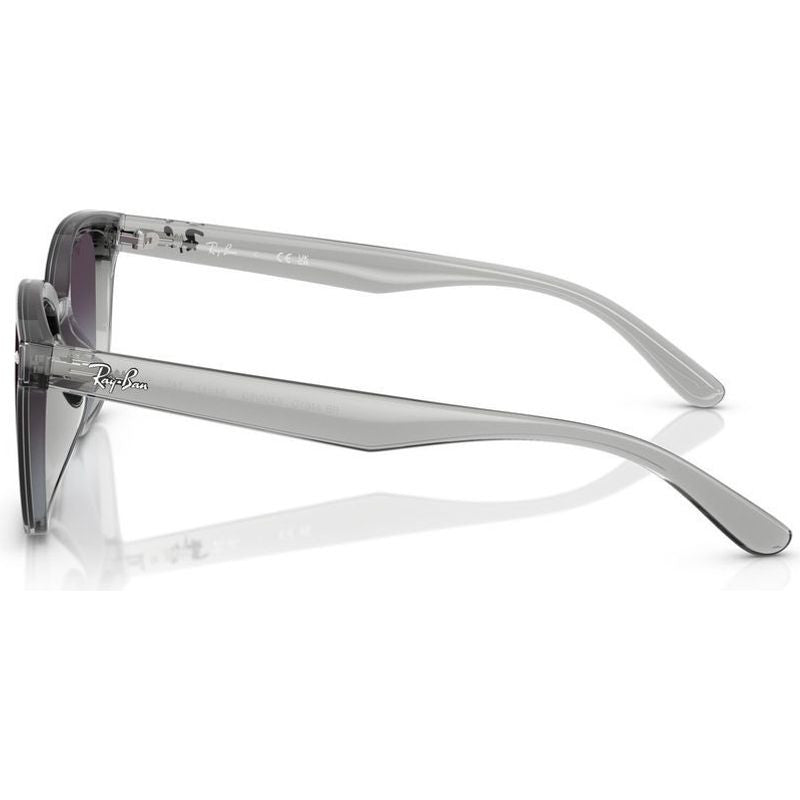 RB4461D, Transparent Grey/Grey Gradient Lenses