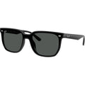 RB4466D, Black/Dark Grey Lenses
