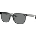 RB4466D, Transparent Grey/Dark Grey Lenses
