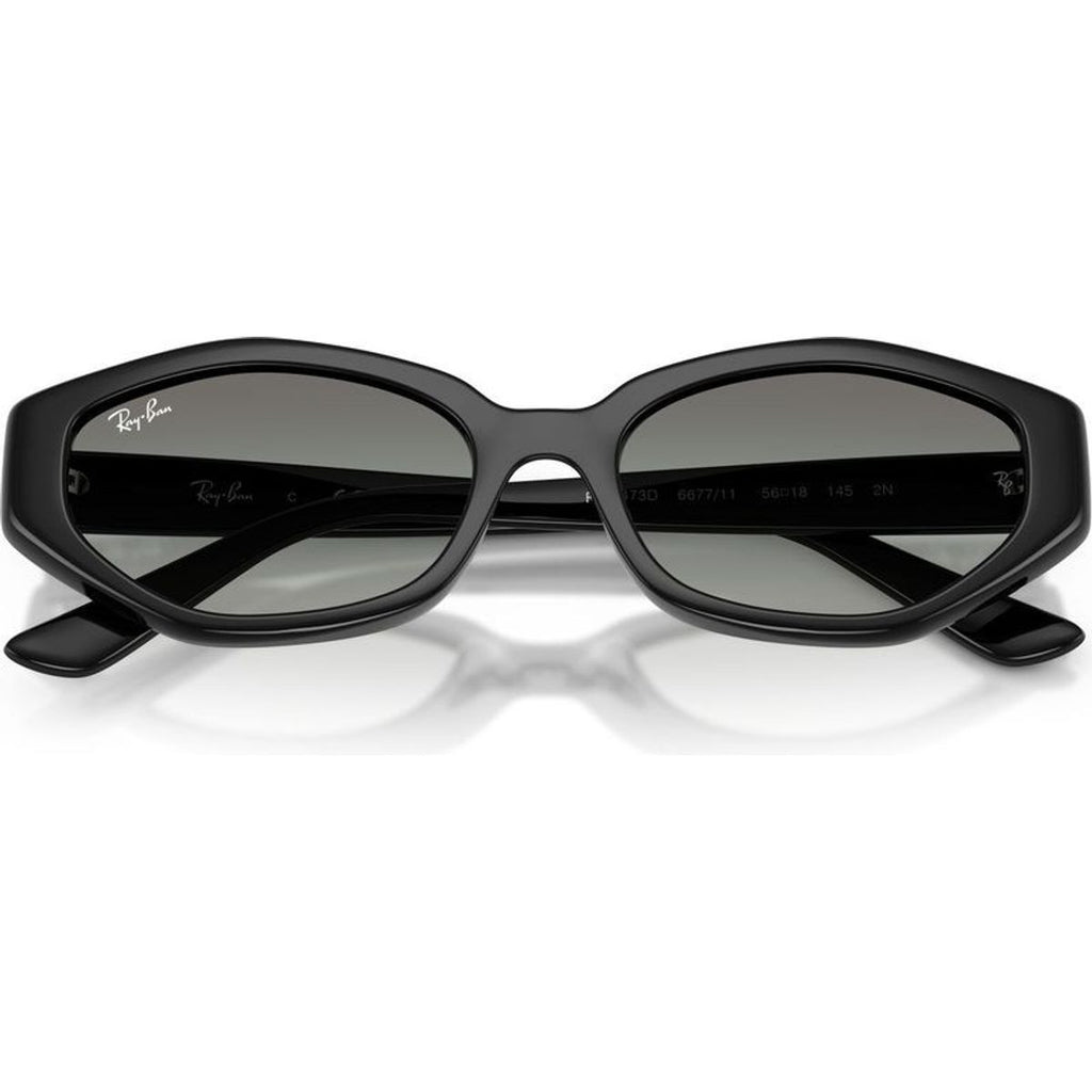 RB4473D, Black/Grey Gradient Lenses