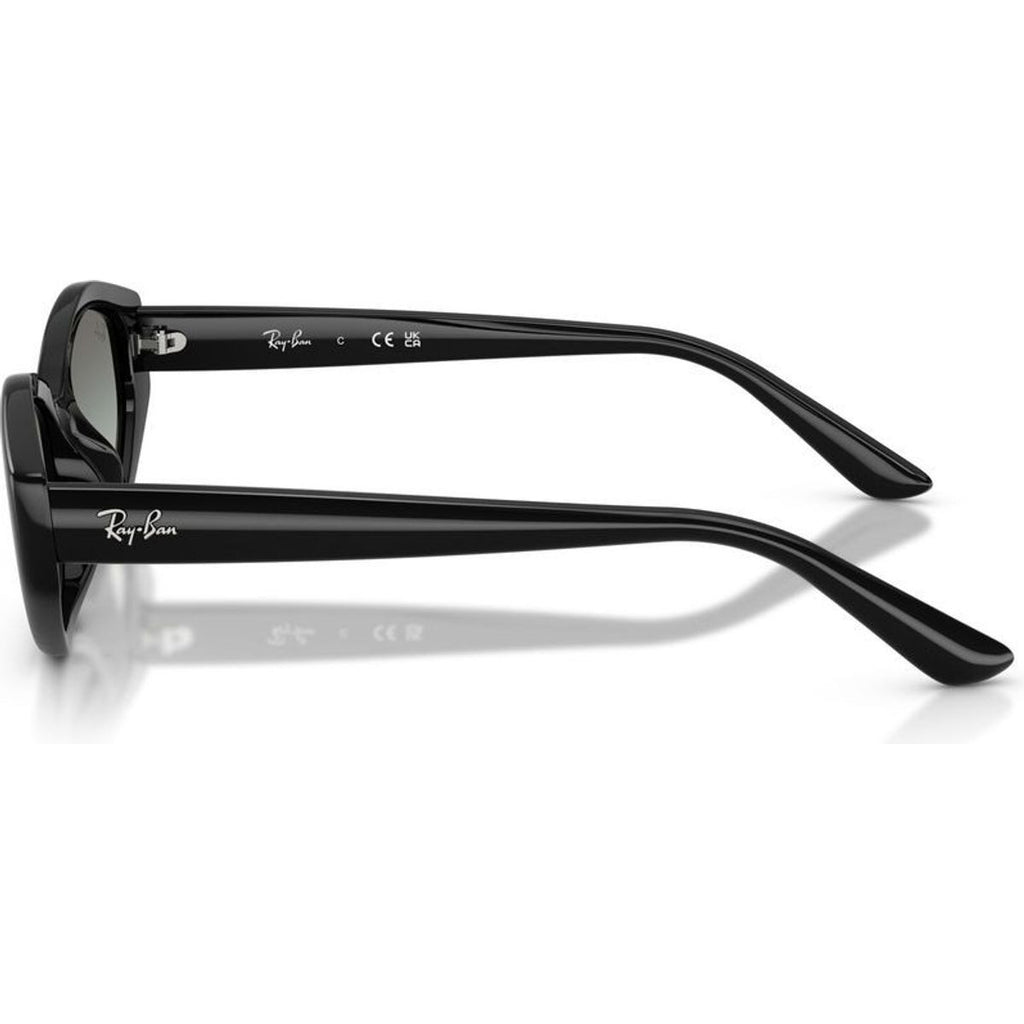 RB4473D, Black/Grey Gradient Lenses