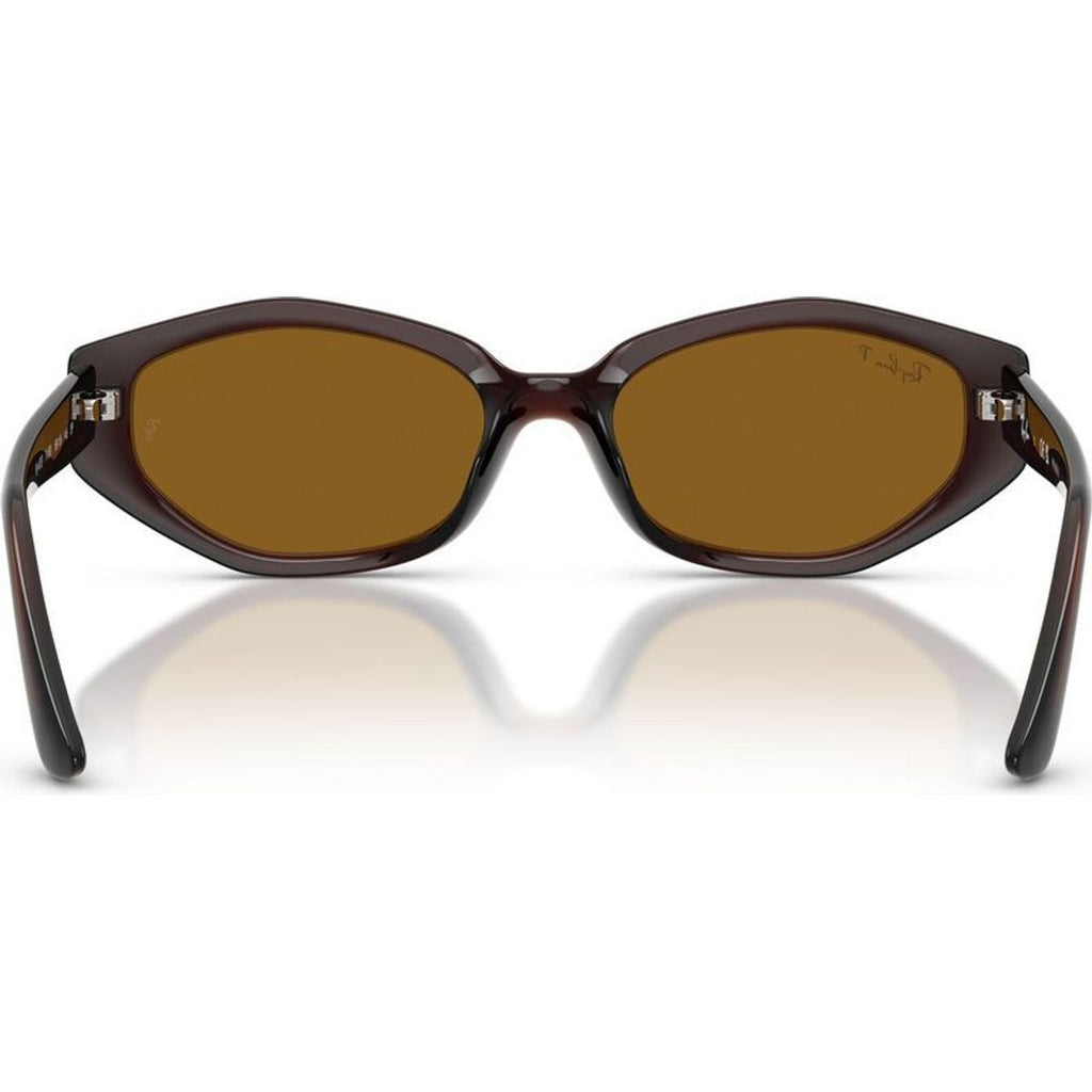 RB4473D, Dark Brown/Dark Brown Polarised Lenses