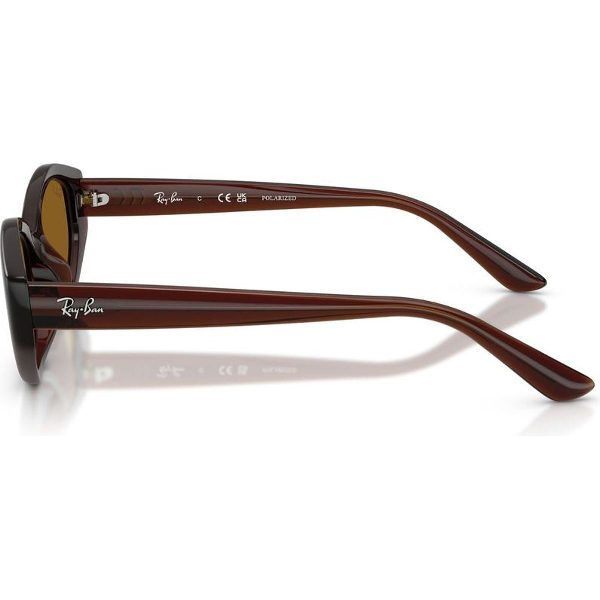 RB4473D, Dark Brown/Dark Brown Polarised Lenses