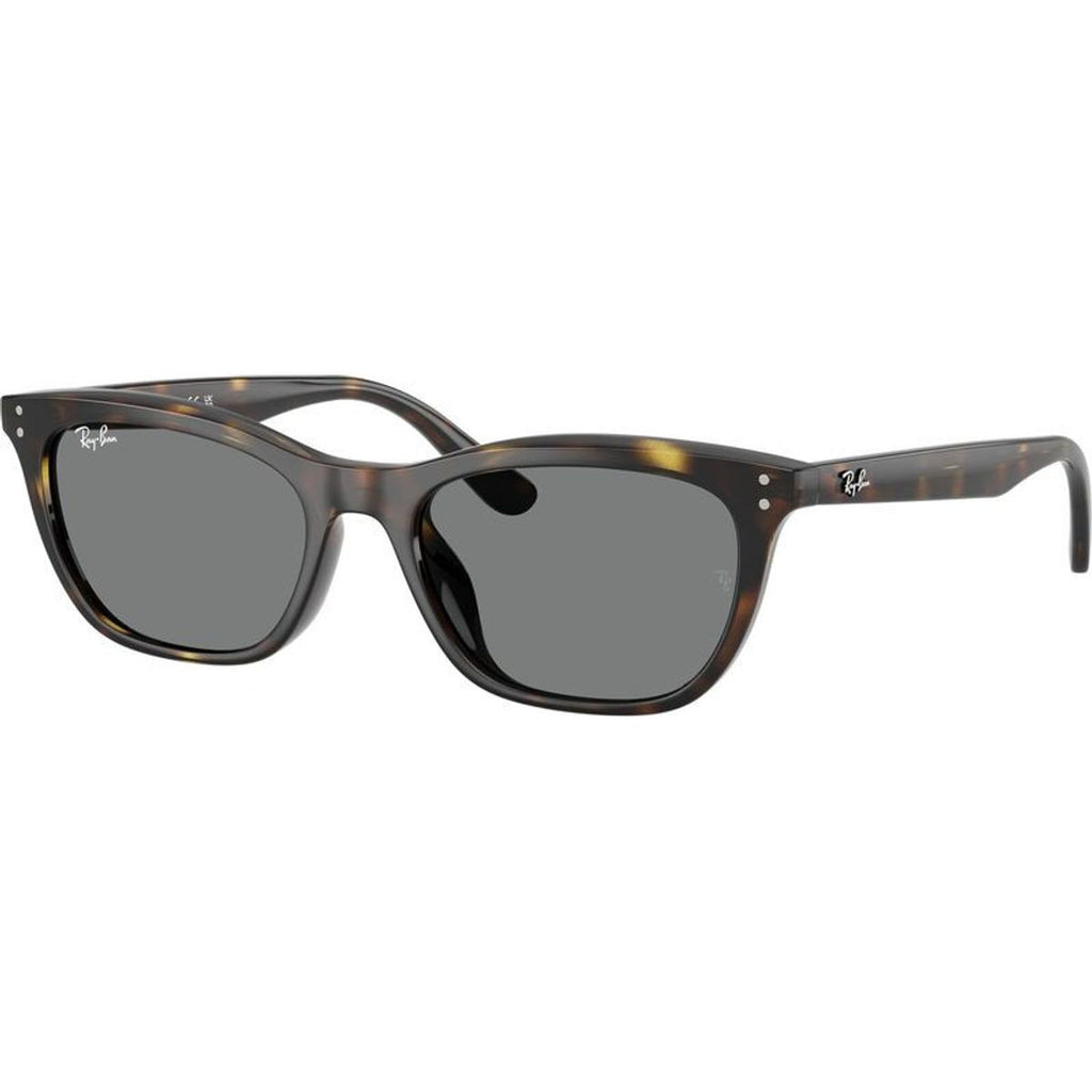 RB4474D, Havana/Dark Grey Lenses