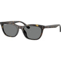 RB4474D, Havana/Dark Grey Lenses