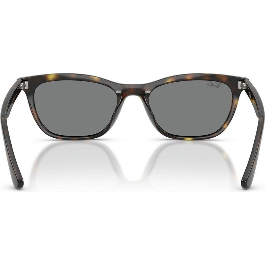 RB4474D, Havana/Dark Grey Lenses