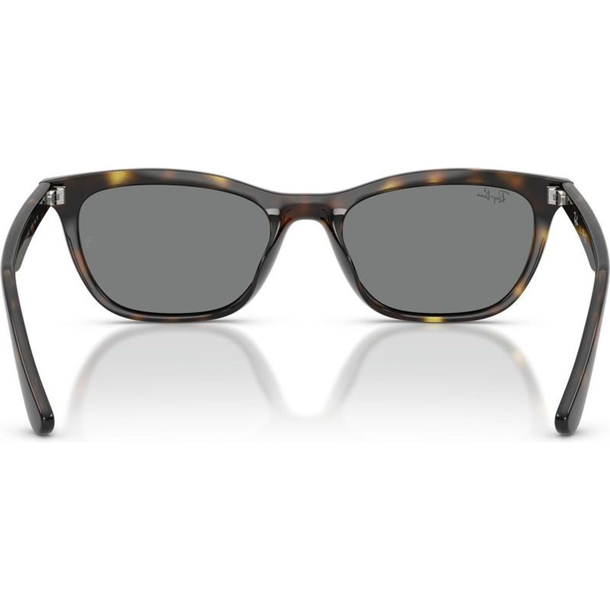 RB4474D, Havana/Dark Grey Lenses