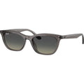RB4474D, Transparent Dark Grey/Grey Gradient Lenses