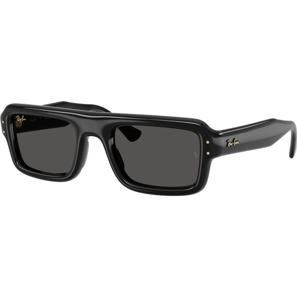 RB4954, Black/Ultra Black Lenses 52 Eye Size