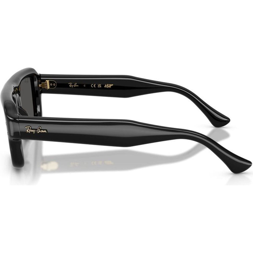 RB4954, Black/Ultra Black Lenses 52 Eye Size