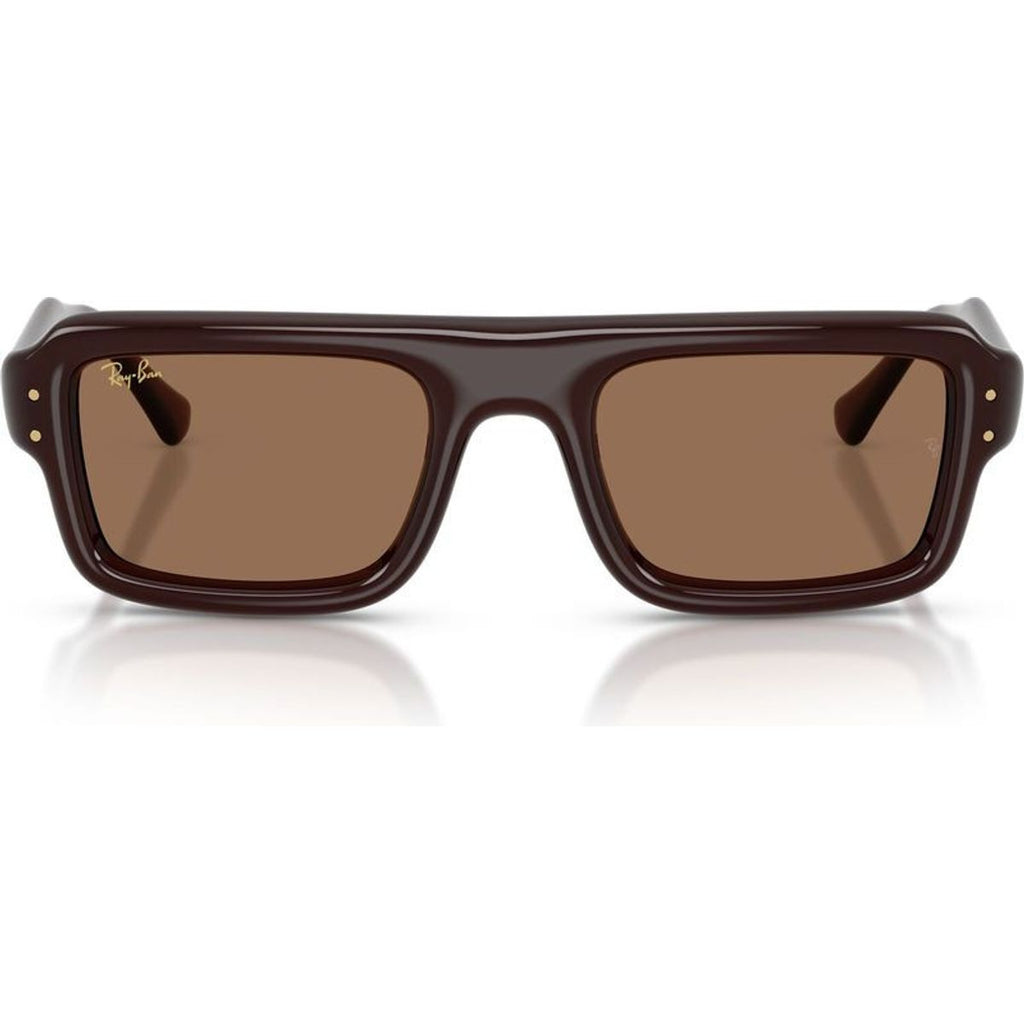 RB4954, Transparent Brown/Dark Brown Lenses 52 Eye Size