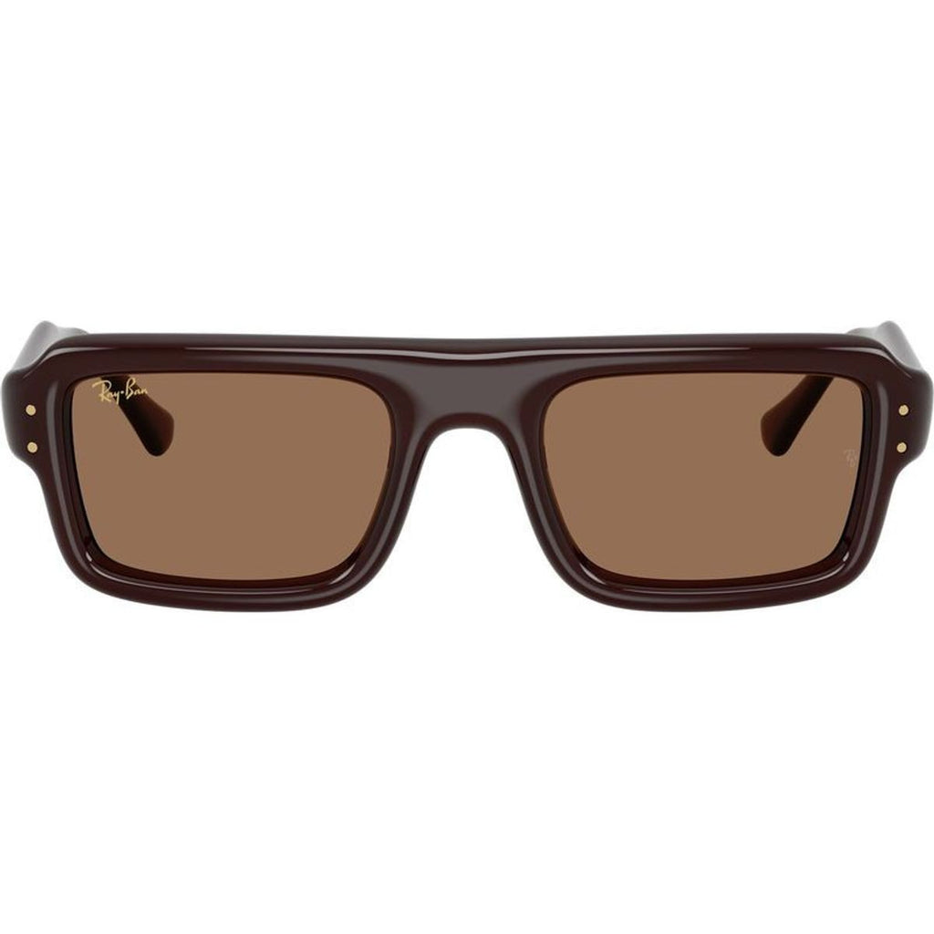 RB4954, Transparent Brown/Dark Brown Lenses 52 Eye Size