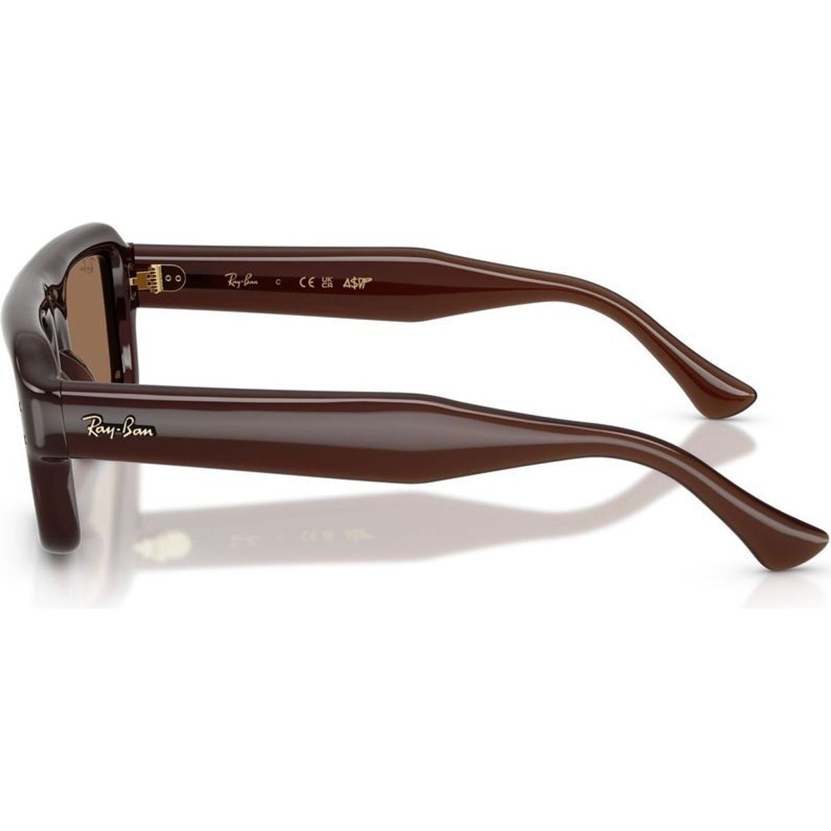 RB4954, Transparent Brown/Dark Brown Lenses 52 Eye Size